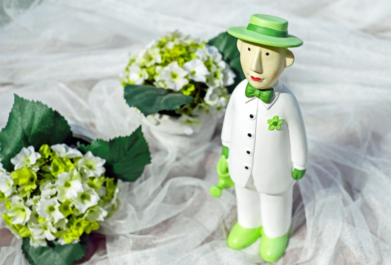 ecommerce-BELVEDERE-min_man-person-flower-green-toy-fig-546529-pxhere.com